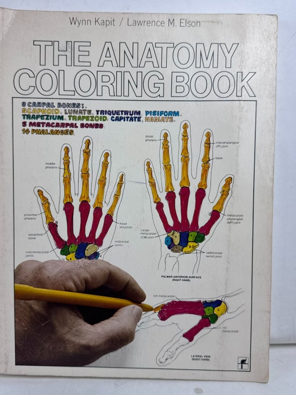 The Anatomy Coloring Book Wynn Kapit Lawrence M Elson ISBN 0064539148 Paperback